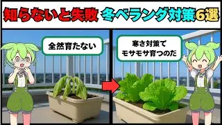 冬でもベランダで野菜は育つ！失敗しない最強テク7つ【知らなきゃ損】