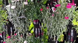 Building An Edible Flower Business | Vertical Farming Week 4