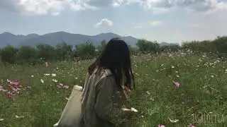 Taylor Swift - Enchanted {Türkçe Çeviri}
