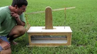 squirrel box trap