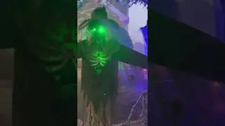 Halloween dump 2024. Melissa, TX