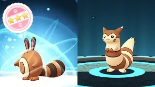EVOLVING 100% IV SENTRET TO FURRET in Pok&eacute;mon GO
