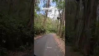 ❣️Way to Kookal 🌴- Kodaikanal 📍#kookal #kodaikanal #kodaikanaltourism @NaturalisticVlogs