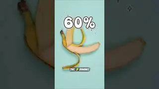 Humans Share 60% of DNA with Bananas 🍌 #DNAFacts #BananaDNA #DidYouKnow