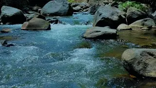 Flowing River Sound for Sleep, Relax, and Stress Relief | ASMR