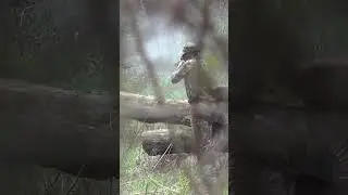 Всё пошло не по плану... #шорты