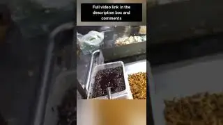 Street food on rainy 🌧 day in China