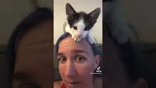 SO RUDE!