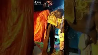 #indianwedding Elephant during a wedding