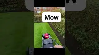 the order I tidy a garden, #gardentok #gardentip #gardening #rain