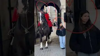 Caught on Camera: Tourist Ignores King's Guard's Warning During Horse Changing Time! 🐴🚫