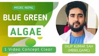 BLUE GREEN ALGAE | CEE PLANT KINGDOM 2.0 | DILIP KUMAR SAH