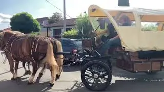 Mit unserem Planwagen nach Netze