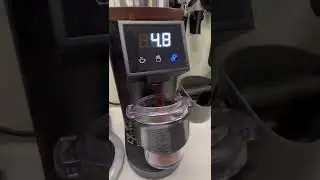 DF64E Espresso grinder from Espresso Outlet