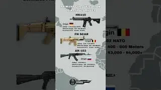 Top Gun Expert Reveals BEST Assault Rifle RANKINGS