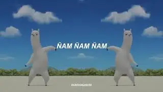 Jujuju dancing llama