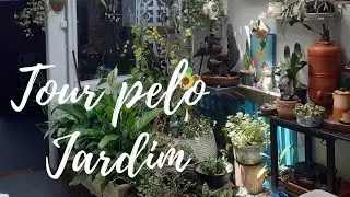 Tour pelo meu jardim / Uma pequena Floresta na minha casa alugada...