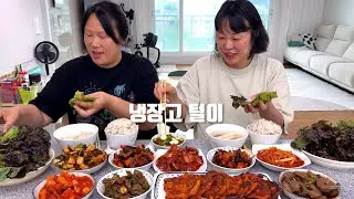 냉장고에 있는 반찬들 털어서 내뱃속에 저장~!