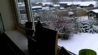 Snow Day