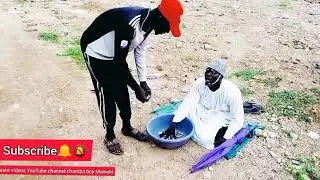 Sabuwar comdy chamba boy Mawaki                         Makahon karya