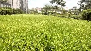 Faea F2 Rear Camera Video Recording Sample