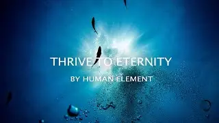 Human Element - Thrive to Eternity | Progressive House | DJ Set