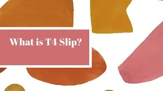 What is T4 Slip