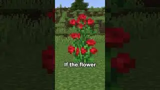 Minecraft Infinite Flower Trick
