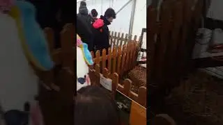 Butlins Easter break mini farm flash back 2018