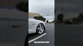 Ford Mustang 5.0 coyote Forgiato wheels ￼