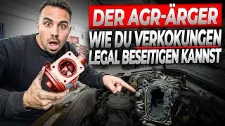 AGR legal deaktivieren 🤯 Diese teuren Motorschäden musst du unbedingt vermeiden!