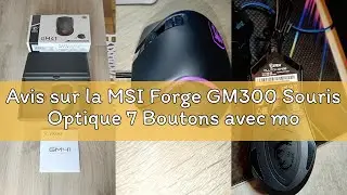 Avis sur la MSI Forge GM300 Souris Optique 7 Boutons avec molette, 1000/1600/3200/6400 dpi, switches