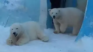 После ужина........After dinner....