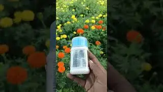 #ADAMA#CUSTODIA#PRIME#FUNGICIDE#11/11/2025#