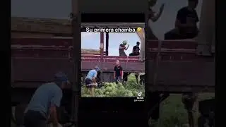 Mi primera chamba😂😂🙊 #miprimerachamba #humor #funny #video #viral #fypシ゚viral #paratii #colombia