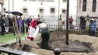La Casa de Juntas acoge el acto  de plantaci&oacute;n del nuevo &Aacute;rbol de Gernika