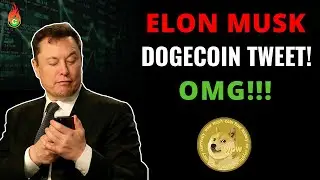 ELON MUSK&rsquo;S MASSIVE DOGECOIN TWEET! THIS IS REALLY HUGE! DOGECOIN NEWS!