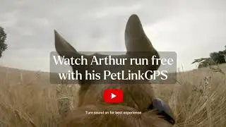 Introducing PetLinkGPS | It&rsquo;s for a dog&rsquo;s life.