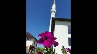 Hfz. Dr. Haris-ef. Hadžić  &bdquo;Iskrenost u djelima i odgovornost prema muslimanima...&ldquo;