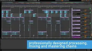 Stadiumx Style Ableton Template 