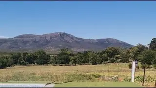 LIVE: Birdsong and Dogs from my porch | Calm Farm ASMR