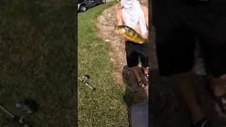 Golfers pull up to check out catch 💯🔥🎣 #fish #floridafishing #golf #peacockbass