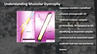 Biweekly ISS Research Update - May 14, 2013