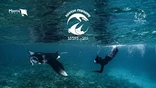 RahVeshi Programme I Maldives Manta Conservation Programme I Manta Trust