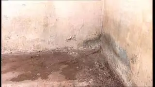waterproofing basement walls from inside pittsburgh pa