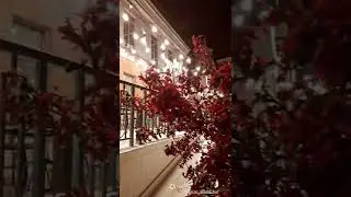 ....красивая яблоня ола...#весна #весеннеецветение #яблоня#владивосток #springblossom