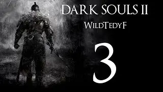 LP DSII s WildTedyF #3