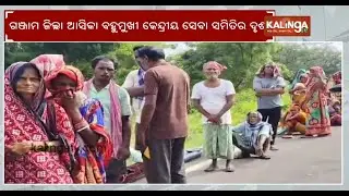Farmers in Odisha's Ganjam queue for hours amid fertiliser shortage | Kalinga TV
