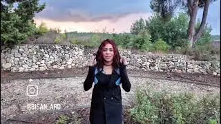 11 يناير، 2026