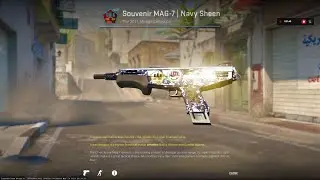 Inspecting my CS2 skins | Source 2 | Counter-Strike 2